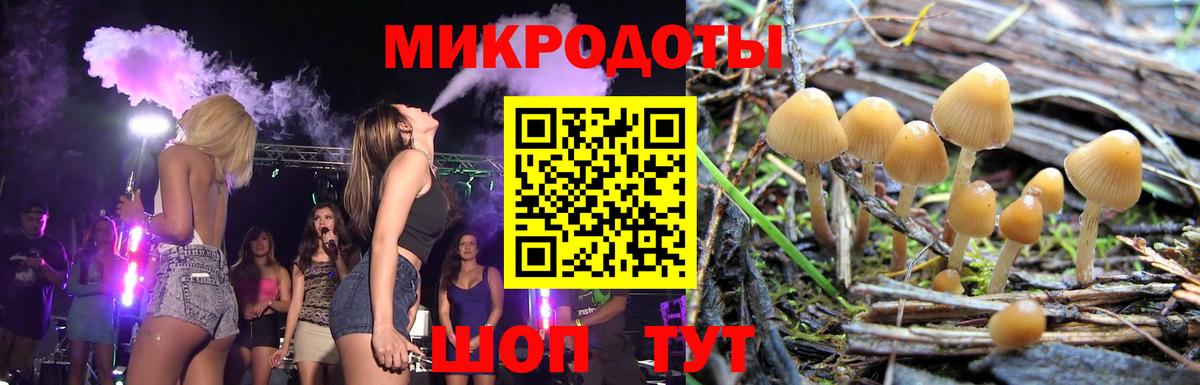 купить  цена  Галлюциногенные грибы GOLDEN TEACHER  Вход с VPN  Псилоцибиновые грибы Magic Shrooms  Новый Уренгой 